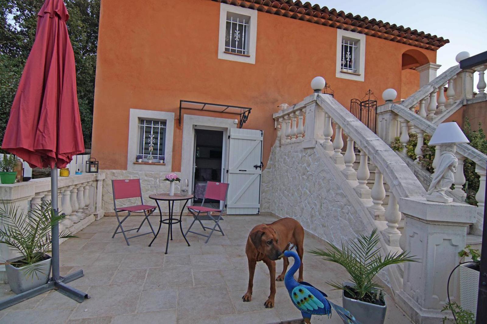Chez Amali - Stielvolle Ferienwohnung In Der Provence Mit Terrasse Brignoles Luaran gambar